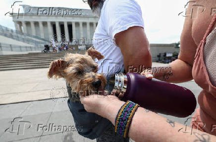 Heat wave hits Washington