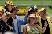Horse Racing: Black-Eyed Susan