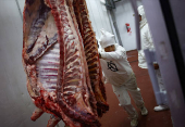 Where's the beef? Argentine steak exports slide as strong peso inflates costs