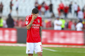 Benfica x Sporting
