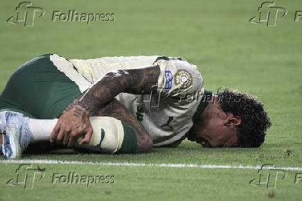 Inter miami fc vs palmeiras :fifa club world cup.