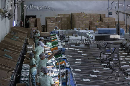 Linha de produção de ovos em cooperativa de Santa Maria de Jetibá (ES)
