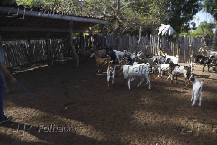 Agropecuaria