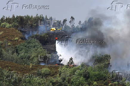 Forest fire in Portugal