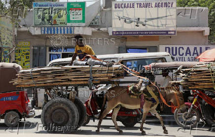 Trump on Somali immigrants: 