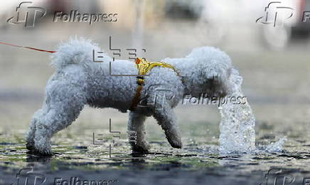 Heatwave affects Frankfurt