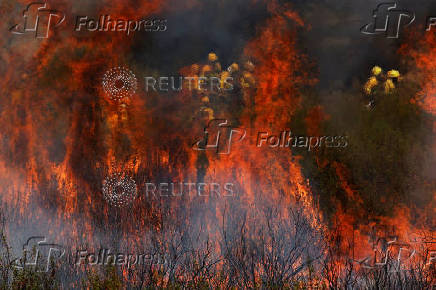 Wildfire in Abejera de Tabara, Zamora