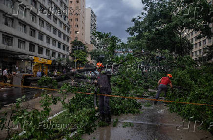 Chuva forte derruba árvore na avenida 9 de Julho