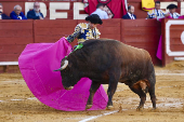 FERIA DEL CABALLO DE JEREZ