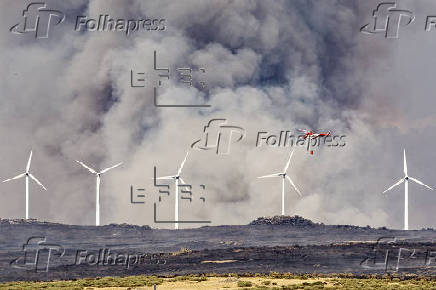 Incendio en las proximidades de Urraca-Miguel, barrio anexionado de Ávila