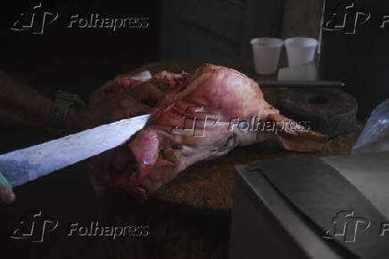 EXPORTACAO CARNE-PORCO
