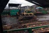 A loader transports logs into the sawmill at Gorman Bros. Lumber Ltd. in West Kelowna