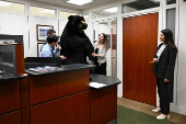 Marty, the Moose, and Kodak, the Bear, are installed on Capitol Hill in Washington