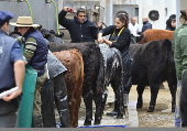 El potente sector rural de Argentina abre su tradicional feria entre reclamos a Milei