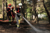 A wildfire burns in Martigues