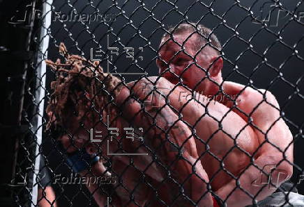 UFC Fight Night 193 in Abu Dhabi