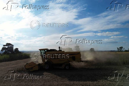 Soybean harvest in Rio Grande do Sul state, Brazil