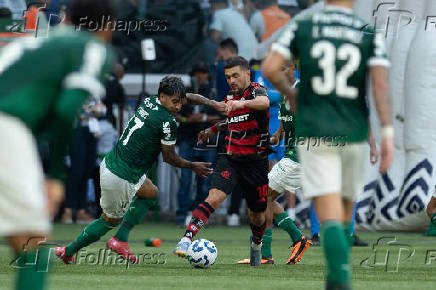 Partida entre palmeiras e ceará pela copa do brasil