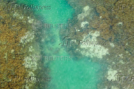 FILE PHOTO: A drone view shows bleached corals on the reef at the Costa dos Corais, in Japaratinga
