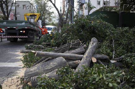 Queda de árvore no Jardim Paulista