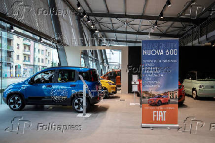 FILE PHOTO: Fiat Panda cars are displayed at the showroom of a car dealership in Milan