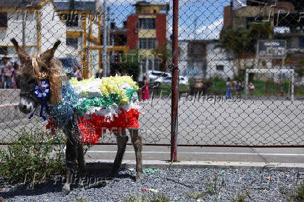 19th Regional Donkey Competition in Moniquira