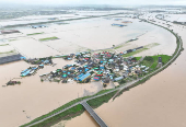 South Korea lashed by heavy rain