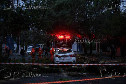 Árvores caídas destroem carros em Perdizes- SP