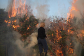 Incêndio florestal atinge casas em Campos do Jordão