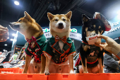 Pet Expo Thailand in Bangkok