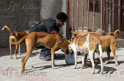 Somali man defies taboo to care for Mogadishu's stray dogs and cats