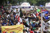 “El gallo nace para pelear”, exclaman miles de mexicanos en defensa de esta tradición