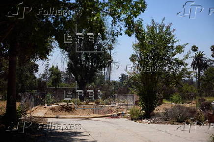 Six month anniversary of Eaton and Palisades fires
