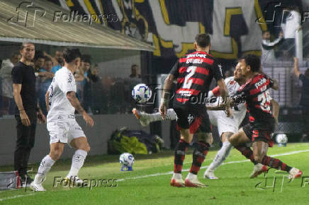 SANTOS, SP, 16.07.2025-BRASILEIRO SERIE A-SANTOS (SP) X FLAMENGO (RJ)