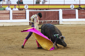 Corrida de toros mixta en Mérida