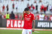 Benfica x Sporting