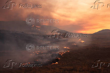 Firefighters tackle the Madre Fire near New Cuyama