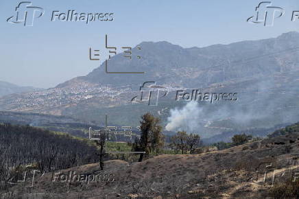 Wildfires break out in Morocco