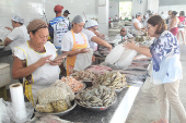 Venda de peixes