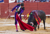 FERIA DEL CABALLO DE JEREZ