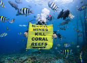 La minería de níquel amenaza un oasis de vida marina en Indonesia, según Greenpeace