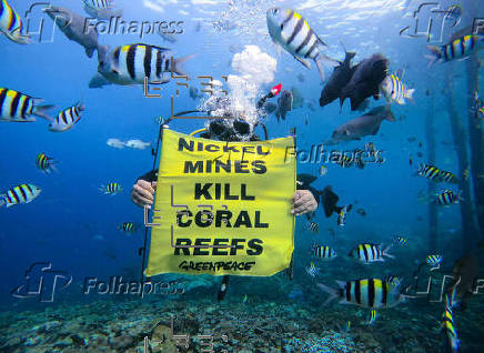 La minería de níquel amenaza un oasis de vida marina en Indonesia, según Greenpeace