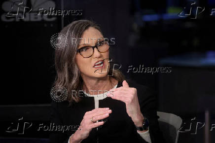 FILE PHOTO: Cathie Wood, CEO of Ark Invest, speaks during an interview on CNBC on the floor of the NYSE, in New York