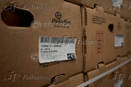 U.S. Government imposes 17% tariff on Mexican fresh tomatoes