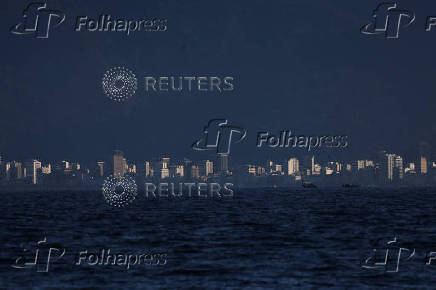 Whale watching by Nas Mares Project in Rio de Janeiro