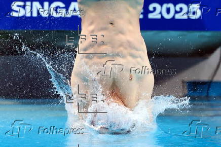 World Aquatics Championships Singapore 2025 - Day 17