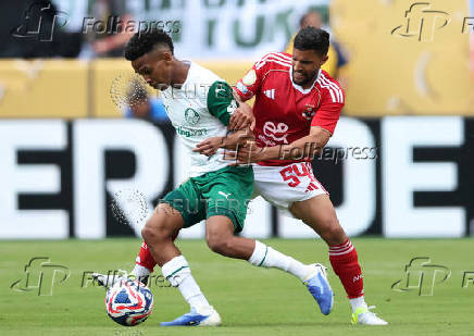 FIFA Club World Cup - Group A - Palmeiras v Al Ahly