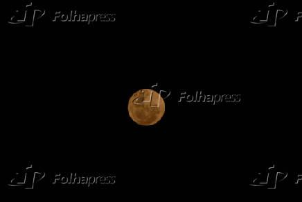 Lua cheia de veado _ Caxias do Sul