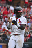 MLB: Arizona Diamondbacks at St. Louis Cardinals