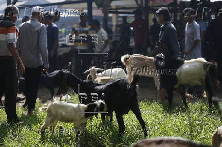Eid al-Adha preparations in Aceh